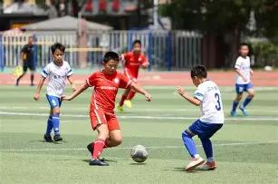 大乐透期号,专家质合分,戈多伊克鲁,立博体育官网,立博体育直播,体育赛事直播,足球直播